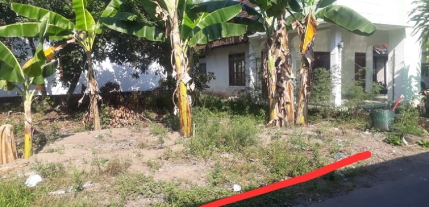 TANAH JAKAL KM 9 SLEMAN