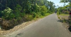 TANAH DEKAT UMY KAMPUS BANTUL STRATEGIS