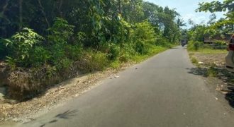TANAH DEKAT UMY KAMPUS BANTUL STRATEGIS