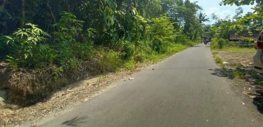 TANAH DEKAT UMY KAMPUS BANTUL STRATEGIS
