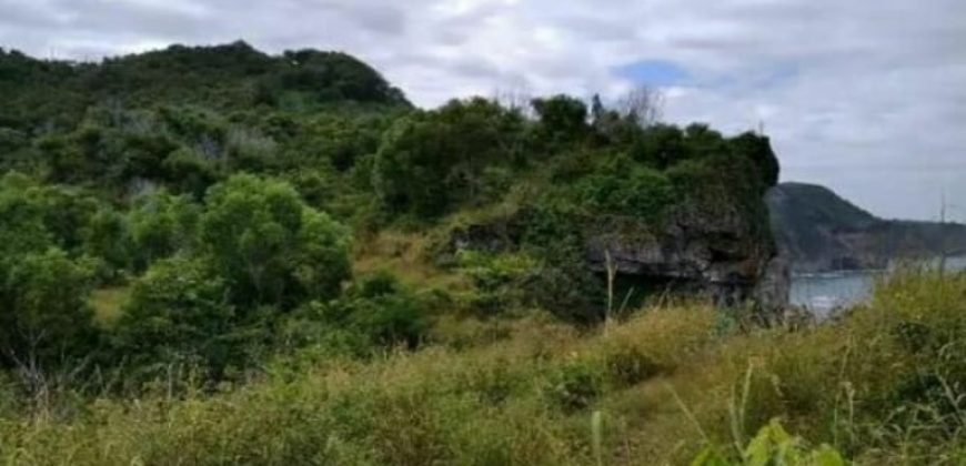 BUKIT PANTAI PARANGTRITIS TANAH GUNUNGKIDUL