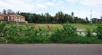 TANAH BELAKANG UMY JOGJA