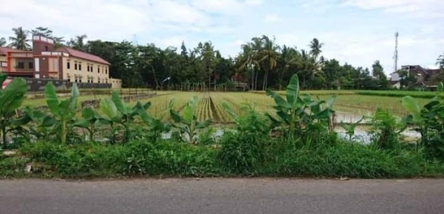 TANAH BELAKANG UMY JOGJA